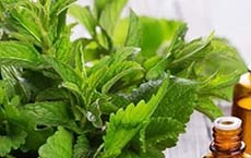 huiles essentielles anti-inflammatoires