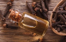 huiles essentielles contre le bouton de fièvre