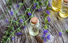 huiles essentielles contre le bouton de fièvre