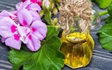 huiles essentielles pour la ménopause