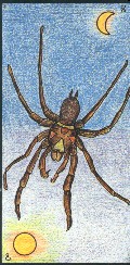 cartes négatives de l'oracle Gé - araignee