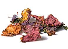 encens du signe du zodiaque verseau