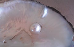 pierres de lithothérapie perle