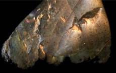 pierre contre les kystes - pierre de lune