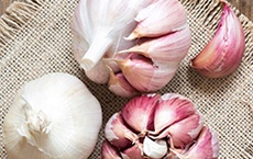 pouvoirs des plantes