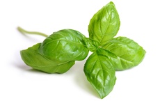 pouvoirs des plantes