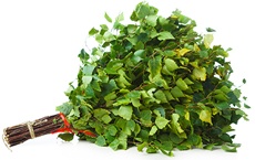 pouvoirs des plantes