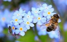 rêves qui signifient la chance