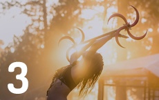 soleil dans les maisons