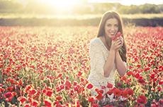 soleil en signes astrologiques