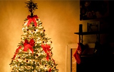 superstitions avec des objets : arbre noel