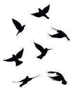 symboles de l’amitié - L’oiseau