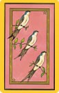 signification des cartes du Tarot Persan - Hirondelle